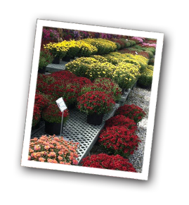 slider_october_inset1.png
