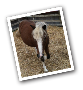slider_october_inset3.png