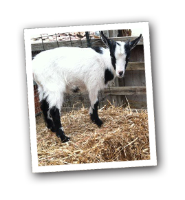 slider_october_inset4.png